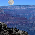 Good Night Moon