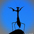 The Conductor